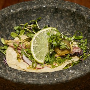 EL ATIPICO CONFORT FOOD - Codzito duck 🚫🌾