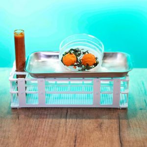 TORTOSA URBAN - Helaborarte 🚫🌾