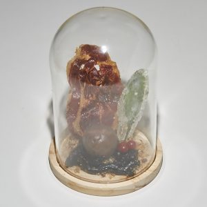 BAR CENTRAL - Lo que el cierzo no se llevó: el alma del ternasco